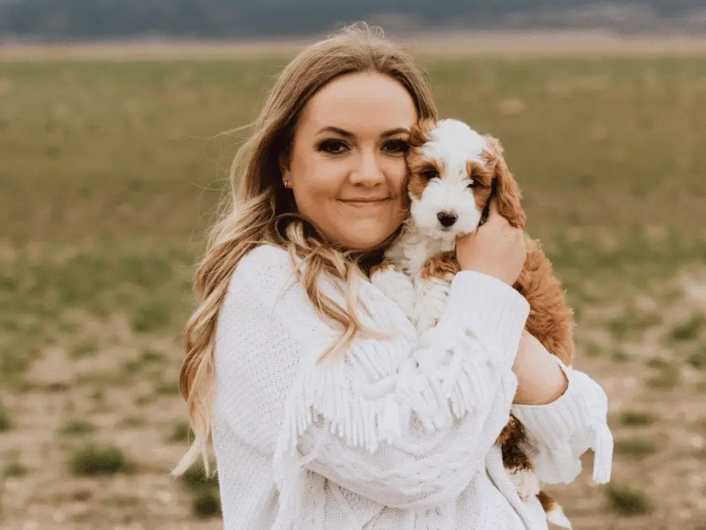 Sharitee, trusted Havapoo and Goldendoodle breeder near you in Utah – Home Raised Puppies